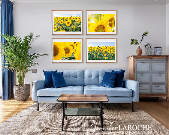 set-of-4-sunflower-photo-prints-for-living-room