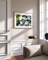 hydrangea-petals-photo-printjpg