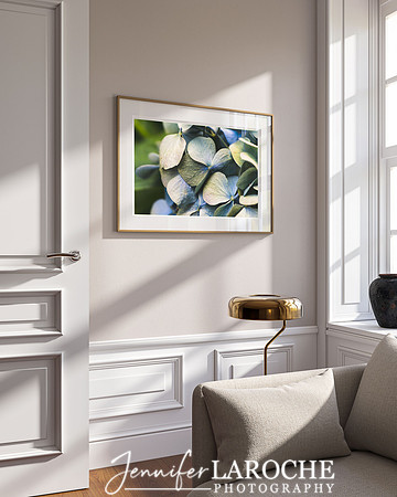 hydrangea-petals-photo-printjpg