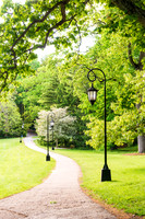 Wellesley College Lamppost Photography Print BD1_9871