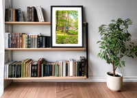 8x12-Wellesley-Print-Founders-Hall