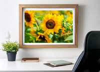 sunflower-wall-art-for-home-office