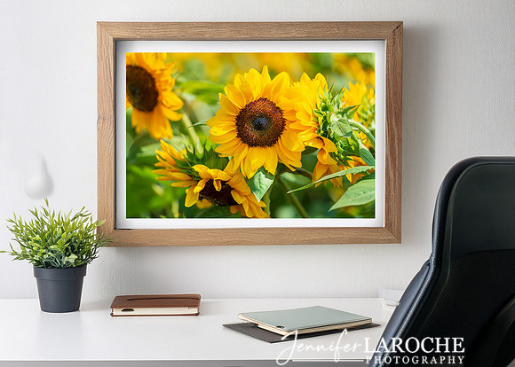 sunflower-wall-art-for-home-office