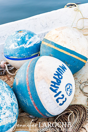Blue and White Buoy Print