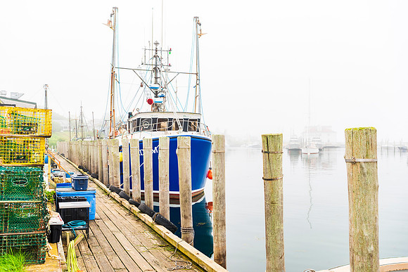 Foggy Harbor Photography Print