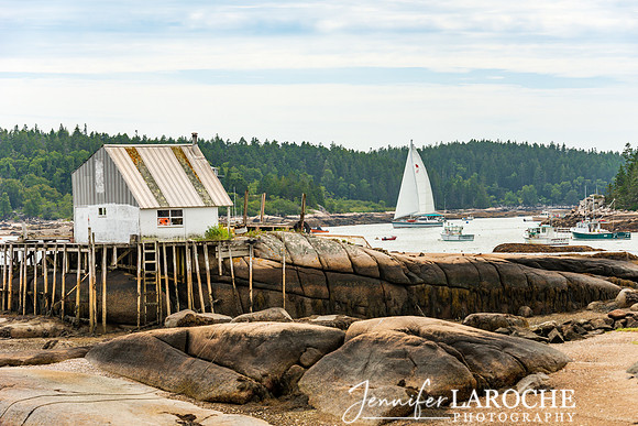 Stonington Harbor at low tide