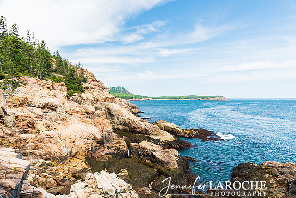 Rocky Landscape Acadia Maine