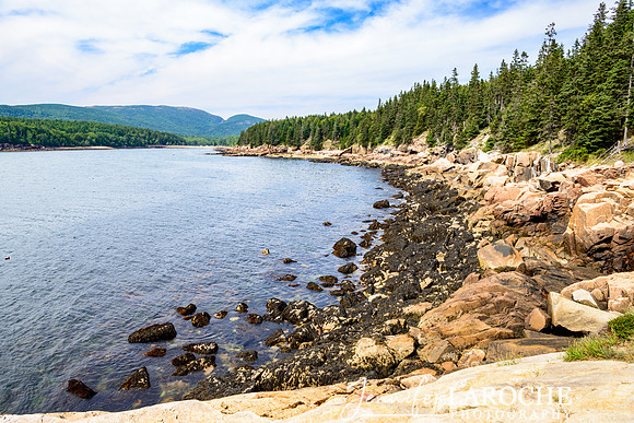 wide shot of Otter Cove on Mount Desert Island