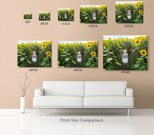 jennifer laroche photography print size comparison