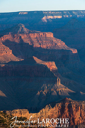 Grand Canyon in Golden Light 2