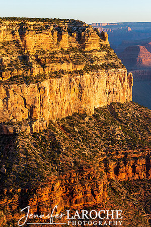 Grand Canyon in Golden Light
