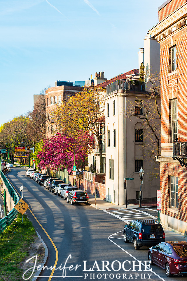 Beacon Hill Homes