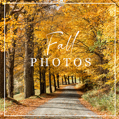 Fall-Photography-Photo-prints