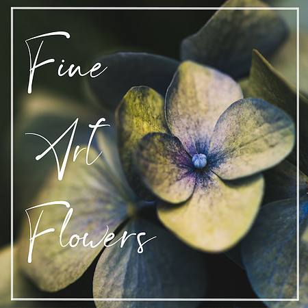 Fine-Art-Flower-Photos