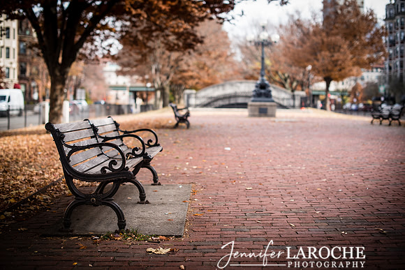 commonwealth avenue mall park boston