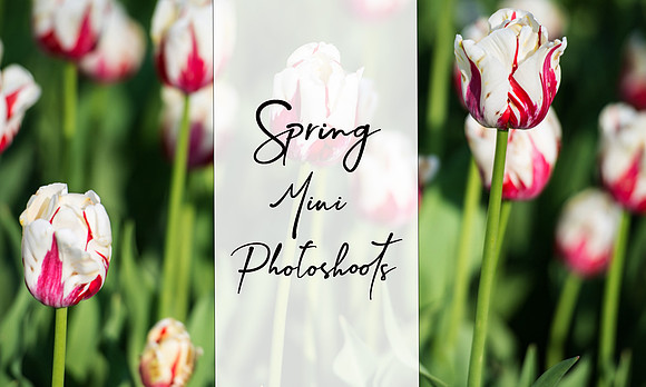 spring-photoshoots