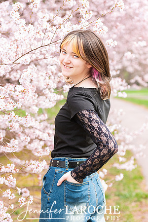 Cherry Blossom Flower Senior Photo