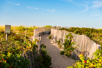 Duxbury Beach Park Path